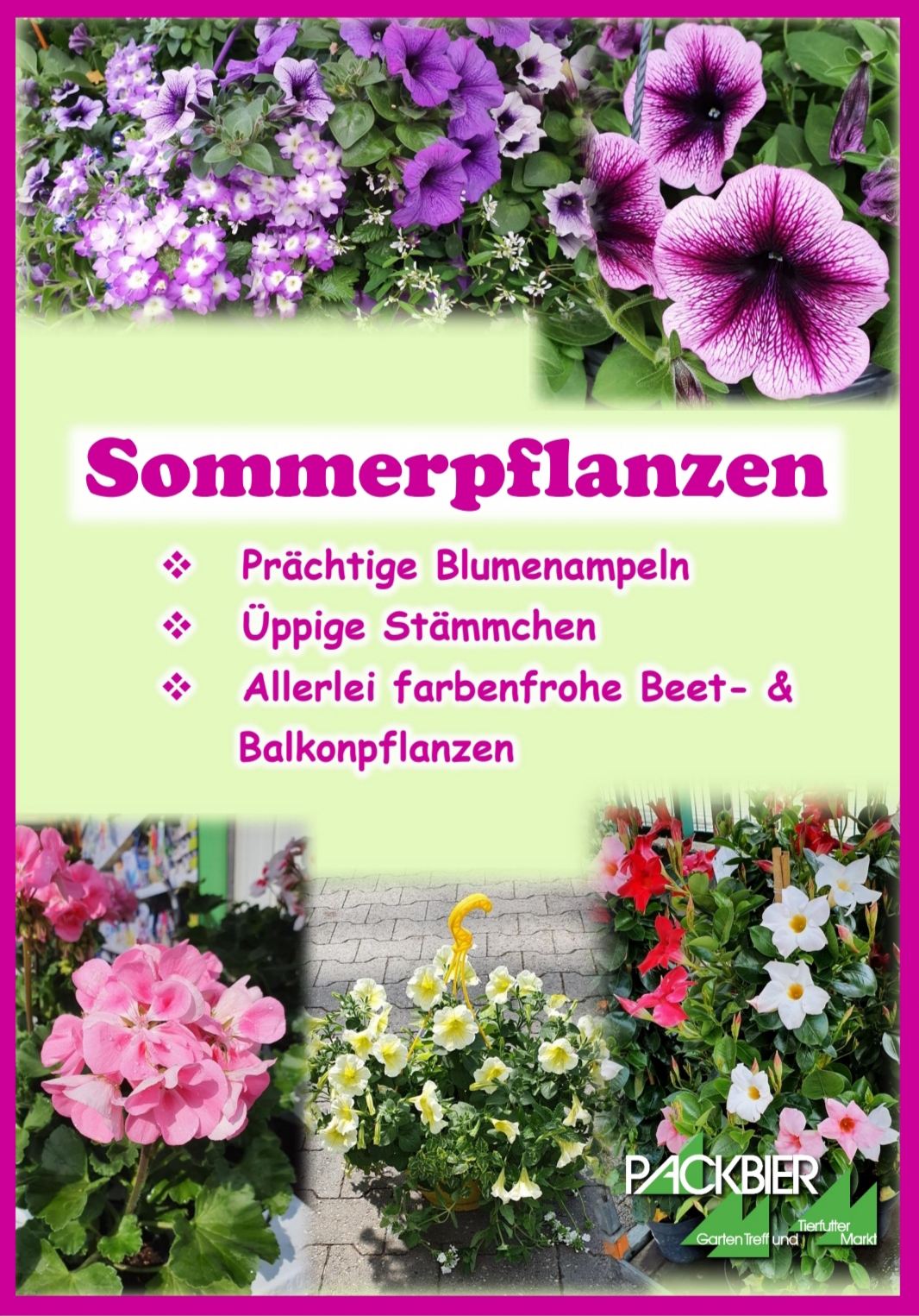 Sommerblumen Packbier Tierfutter Markt Und Garten Treff In Aachen